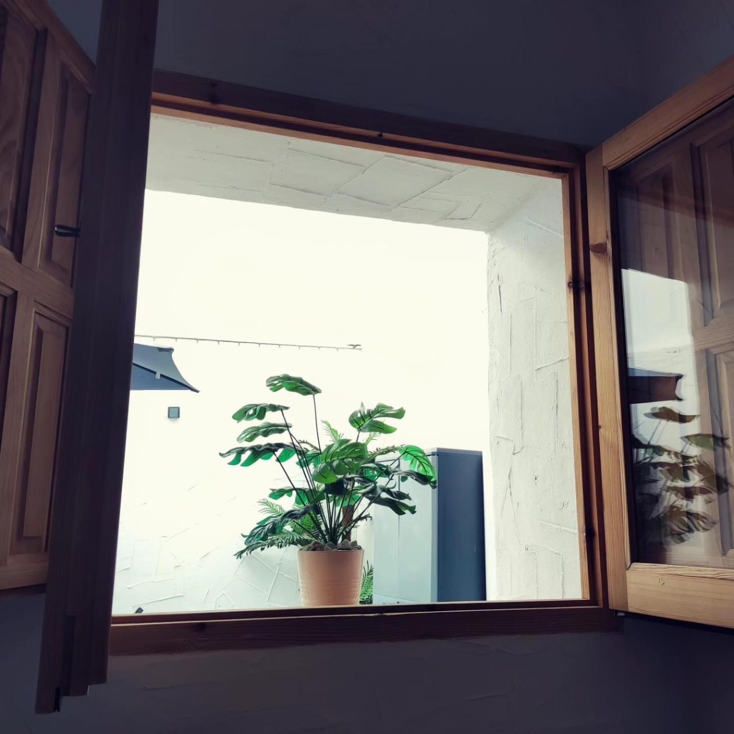 Apartamento La Lola - Patio Privado Jerez de la Frontera Dış mekan fotoğraf